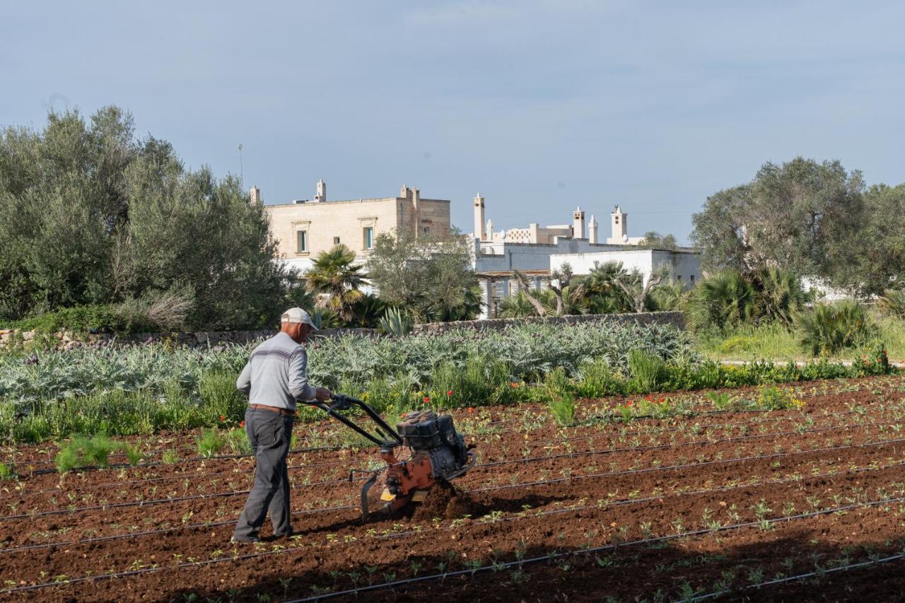 Masseria Palombara Relais & Spa - Adults Only ماندوريا المظهر الخارجي الصورة