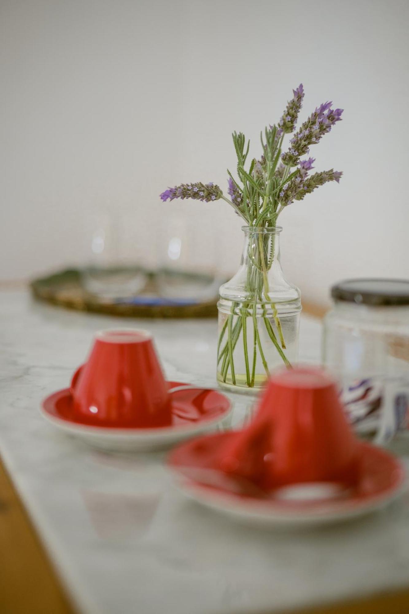 Masseria Palombara Relais & Spa - Adults Only ماندوريا الغرفة الصورة